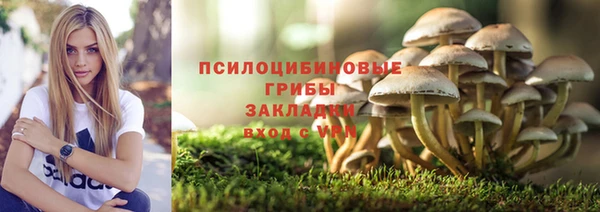 прущая мука Заводоуковск