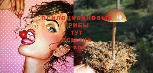 прущий лед Ельня