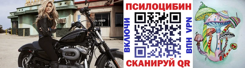 Галлюциногенные грибы GOLDEN TEACHER  закладка  Зеленокумск 