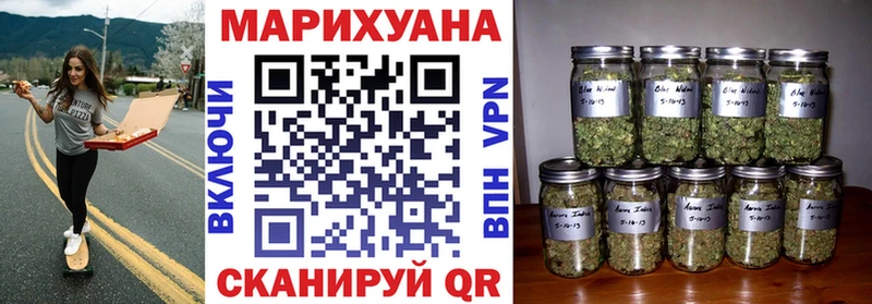 Бошки марихуана сатива  Зеленокумск 